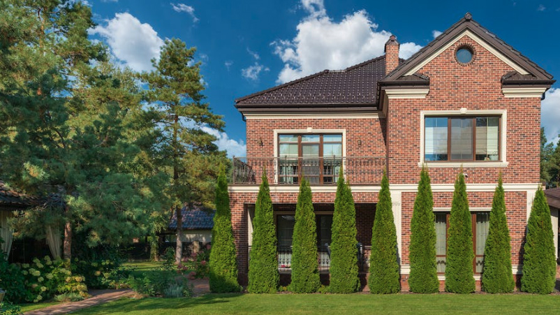 tall shrubs shading house